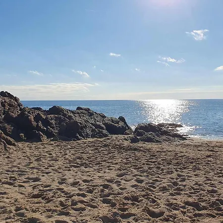 Apartamento B084-confort Et Serenite Piscine Et Stationnement Cannes