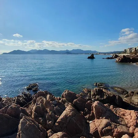 B084-confort Et Serenite Piscine Et Stationnement * Cannes