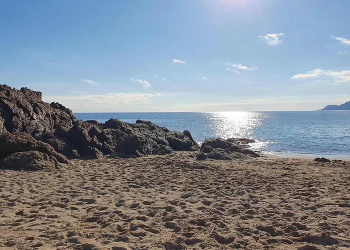 アパート B084-confort Et Serenite Piscine Et Stationnement カンヌ