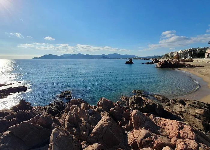 B084-confort Et Serenite Piscine Et Stationnement * カンヌ